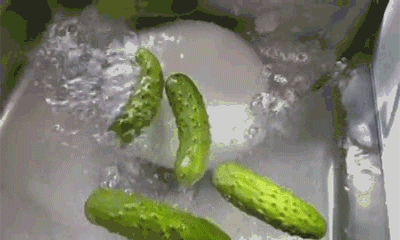 1637630561607614.gif