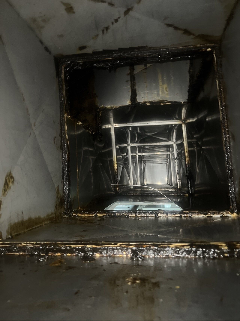 1772160933963799.jpeg 5f236b63ab37e7b5d1dccf5526fe813c~tplv-be4g95zd3a-image.jpeg